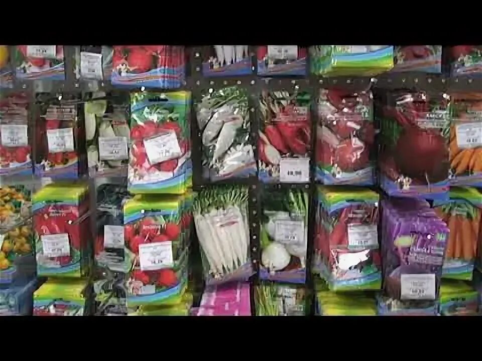 Выставка цветов в магазине. Хризантема килеватая радуга смесь. Москва вднх магазин семена. Гавриш. Торговый центр рапира на вднх.