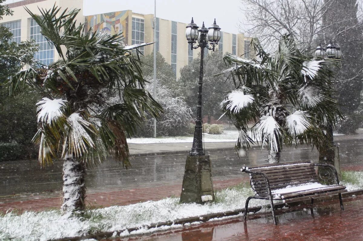 погода в сочи на месяц. сочи климатическая таблица. температура в сочи. погода в сочи в октябре. температура в сочи.