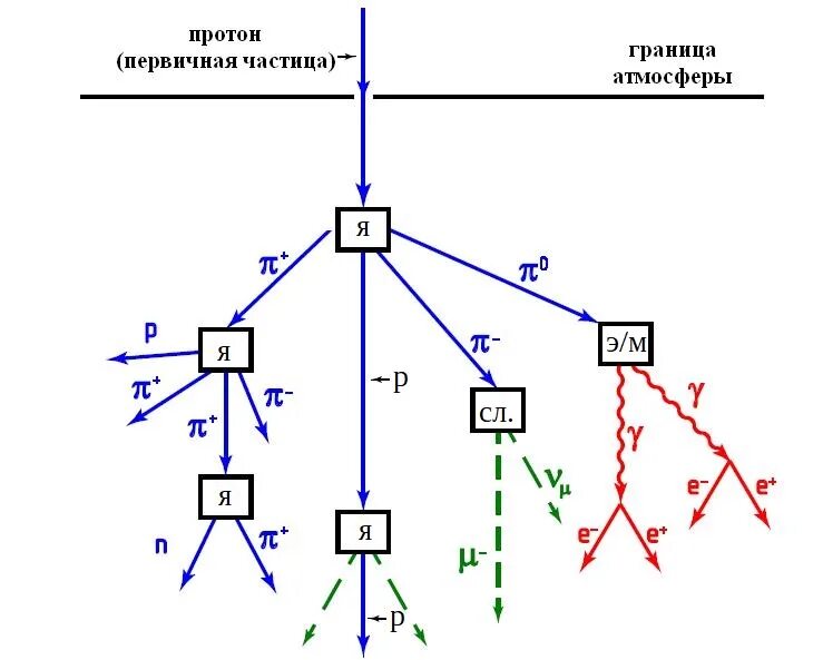 Общий ядерный практикум. Физфак мгу ядерный практикум.