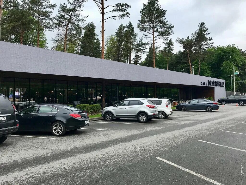 Dendrarium, restaurant, Россия, Владикавказ, Московское шоссе, 14 - Yandex.Maps