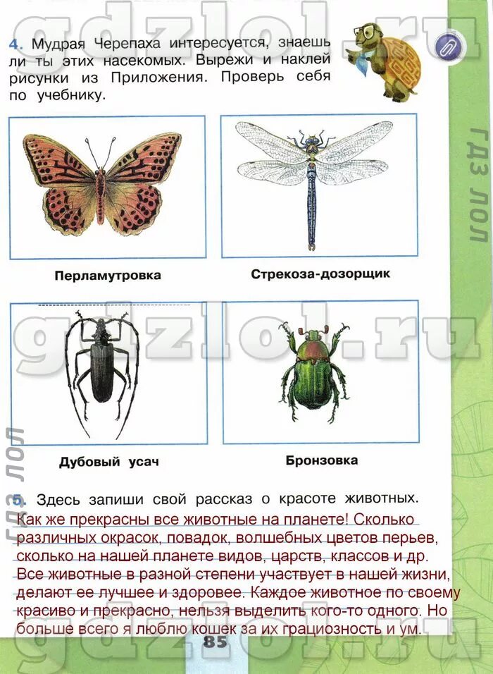 Рассказ о красоте животных 2 класс окружающий мир. Рассказ о красоте живо. Запиши свой рассказ о красоте животных. Рассказ о красотежтвотных.