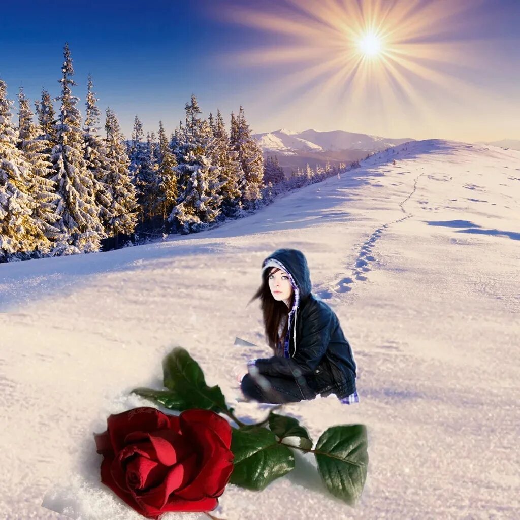 Зимнего дня женщине. Розы на снегу. Девушка с цветами зимой. Девушка с розами зимой. Женщина зимой с цветами.