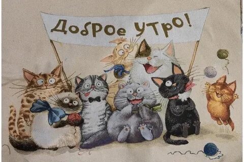 3 кота утром