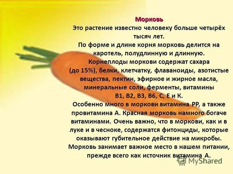 Желтая морковь чем отличается от красной