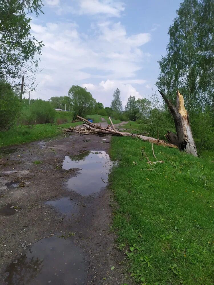 Погода выгоничи на 14 дней. Выгоничи. Брянск дерево после грозы. Река Ревна Выгоничи. Типичные Выгоничи Брянской области.