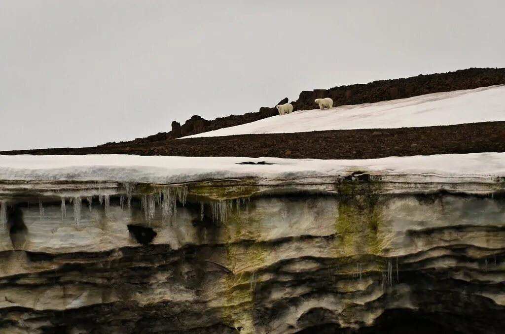 Персидский залив вид с космоса. Остров ратманова, чукотка. Земля франца иосифа мыс флигели. Горы хребет черского. Юго-восточная азия страна лаос.