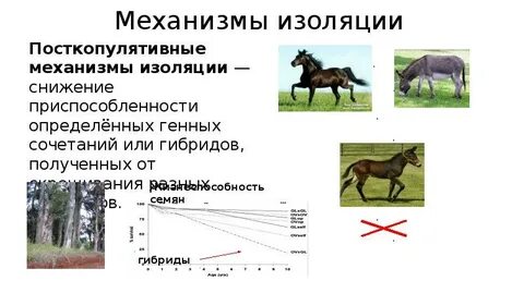 Механическая изоляция