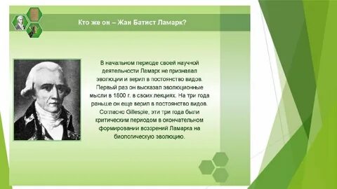 Вид б ламарк