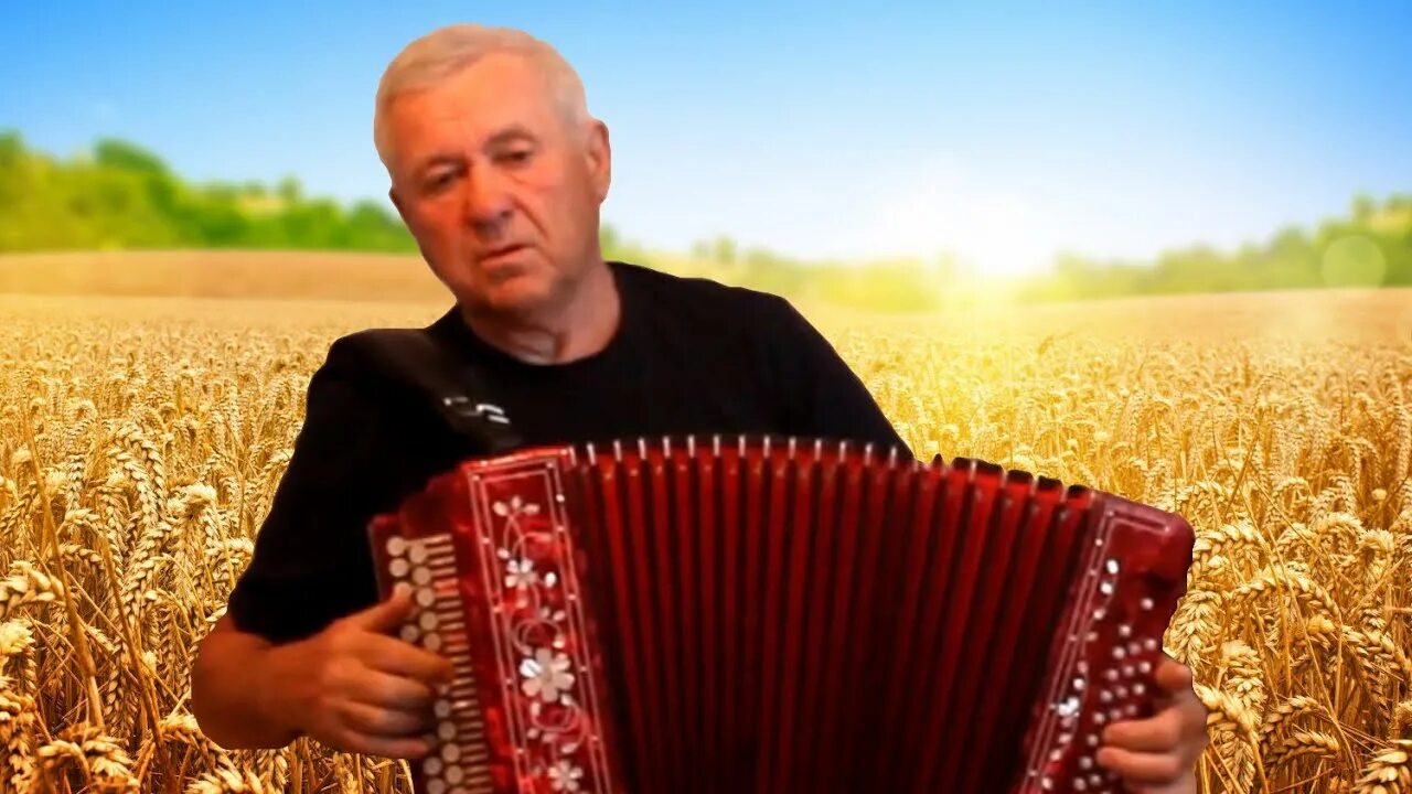 Гармонист кубань. Песни гармонь слушать бесплатное видео. Вовка под гармошку. Песни под гармонь. Песни гармонь слушать бесплатное видео.