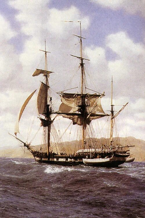 Корабль бигль дарвин. Дарвин морская. Корабль бигль дарвин. Дарвин морская. Дарвин морская.