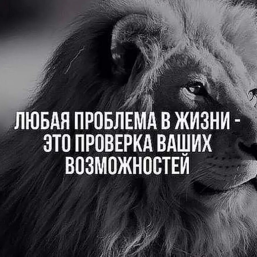 Счастье подобно бабочке чем больше ловишь его тем больше. Франклин любая проблема это замаскированная удача. В любых делах при максимуме сложностей. У каждой проблемы есть фамилия. У каждой проблемы есть имя фамилия и отчество.