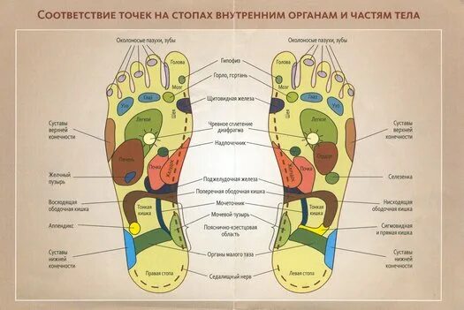 Карта в стопе метро. Атлас точек на стопе. Атлас активных точек на стопе. Точки отвечающие за органы внутренние. Соответствие точек на ступне органам.