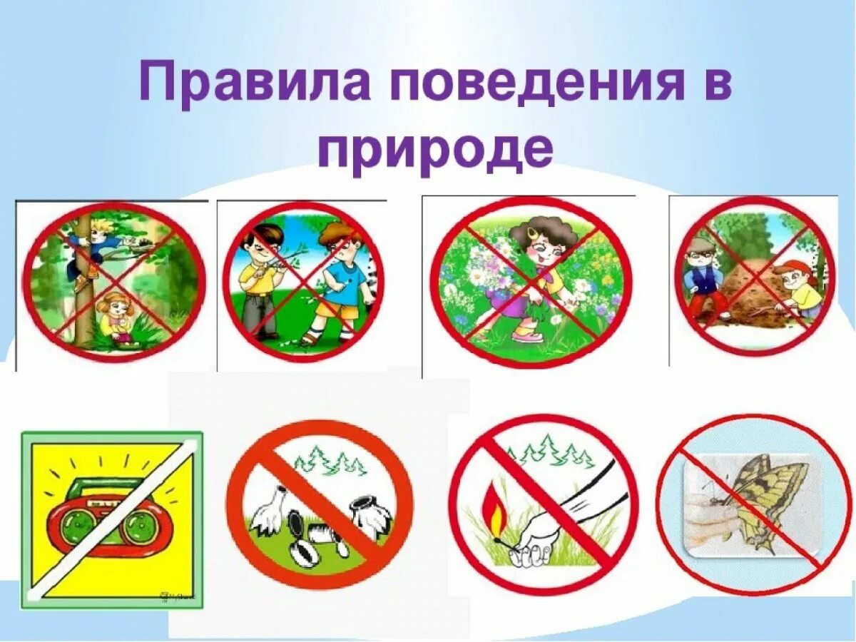 правила поведения в лесу. что запрещено делать в лесу. что нельзя делать в лесу. запрещающие знаки в природе. правила поведения намприроде.