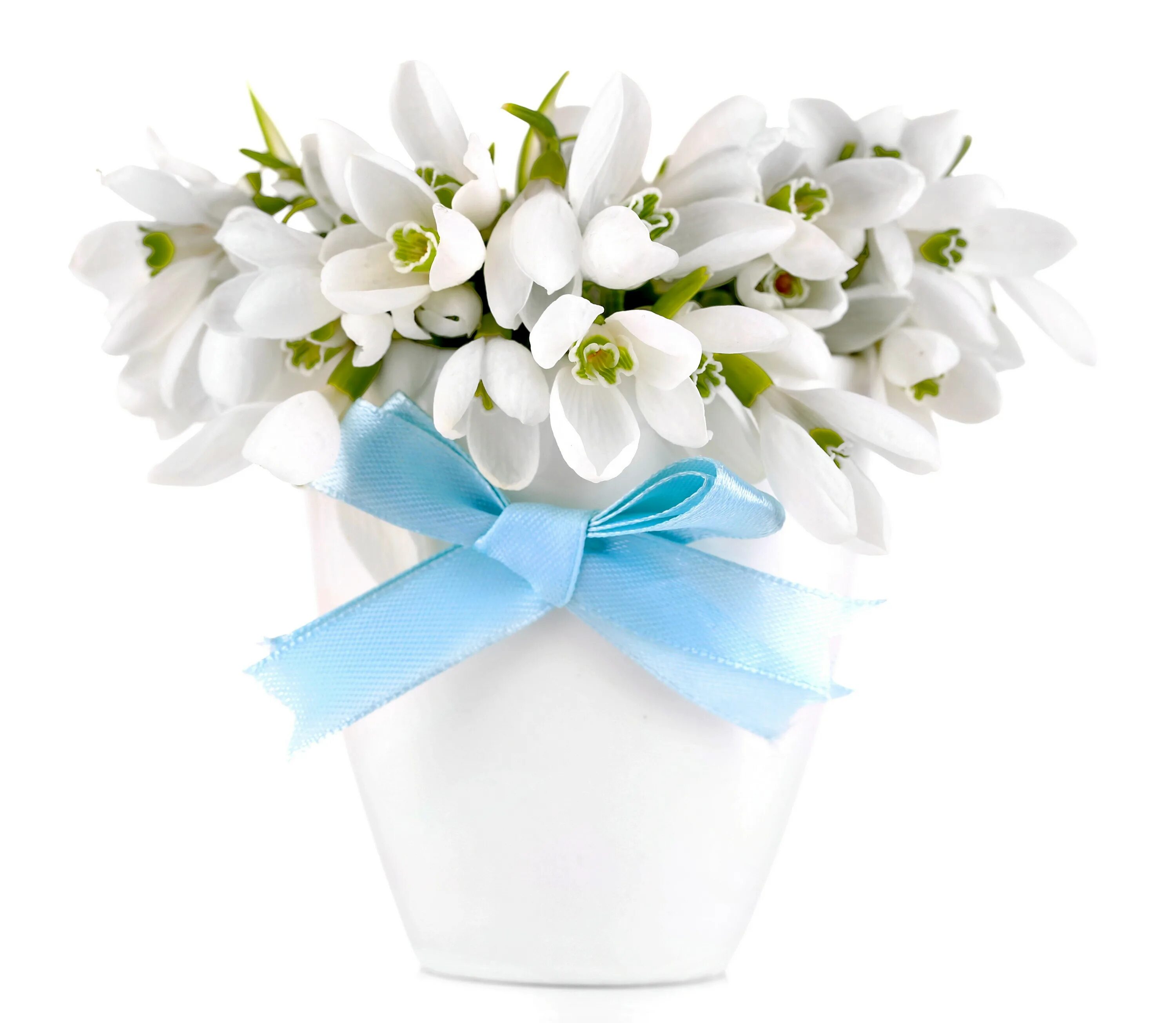 С весенним днем рождения женщине картинки красивые. Букет подснежников. Красивый букет подснежников. Весенние цветы на белом фоне.