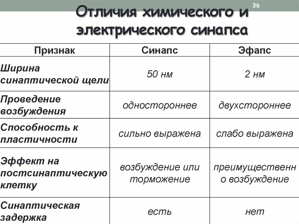 Признак и свойство различие. Сравнительная характеристика электрического и химического синапса. Различия химического и электрического синапса. Отличия электрического и химического синапсов таблица. Отличие химического синапса от электрического.