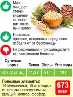 Сколько белка в кедровых орехах