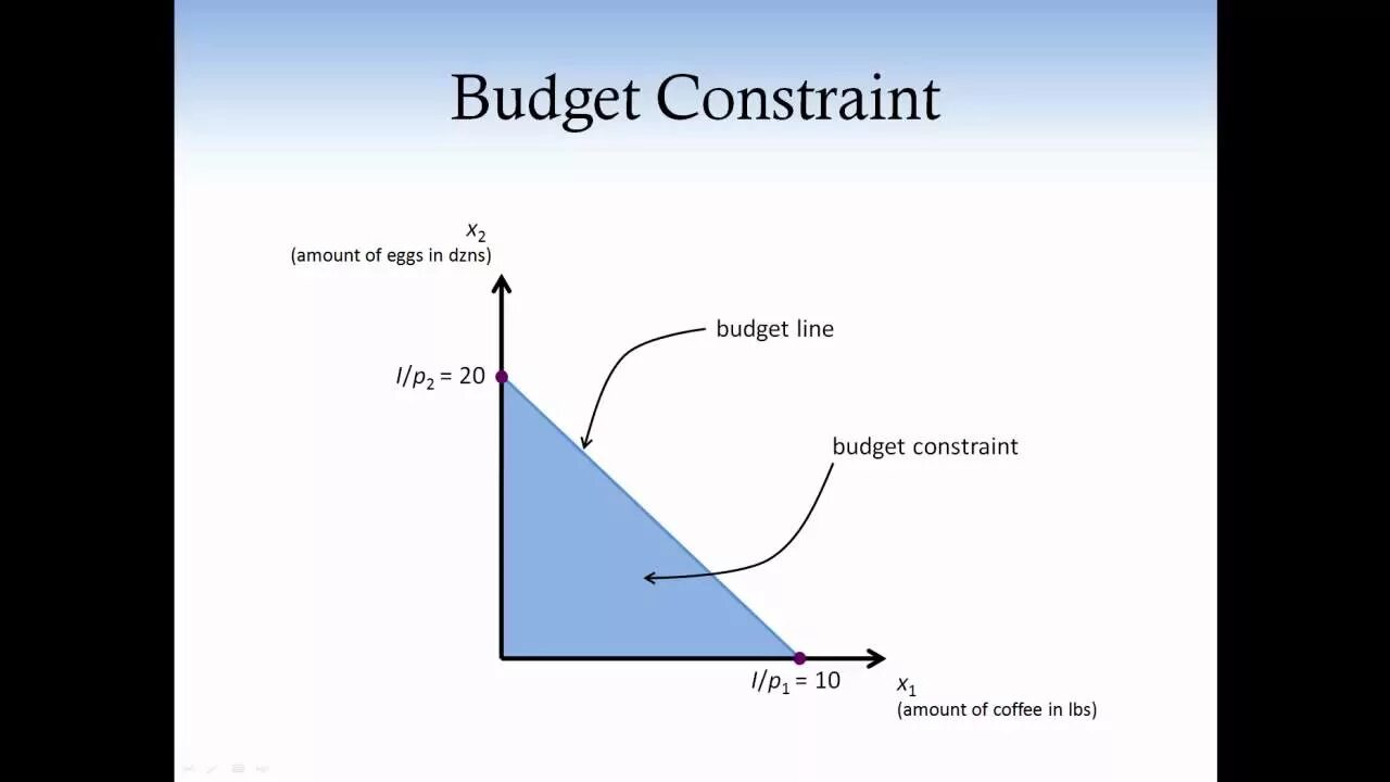 Integrity constraint. Budget constraint. Intertemporal budget constraint. Budget line constraint. The government budget constraint.