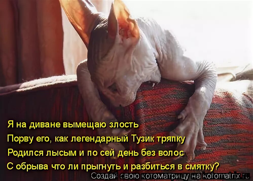 Человек кричит. Раздраженный подросток. Эмоциональные стихи. Негативные эмоции. Гнев человеческий.