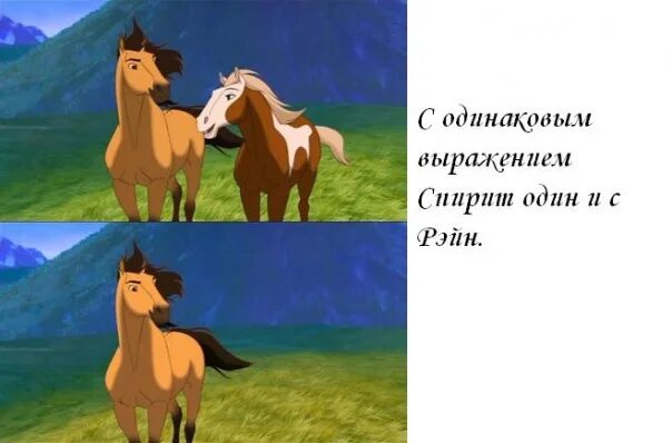 На что можно обменять спирит. На что можно обменять спирит. Спирит душа прерий любовь. Спирит непокорный. Душа прерий (dvd).