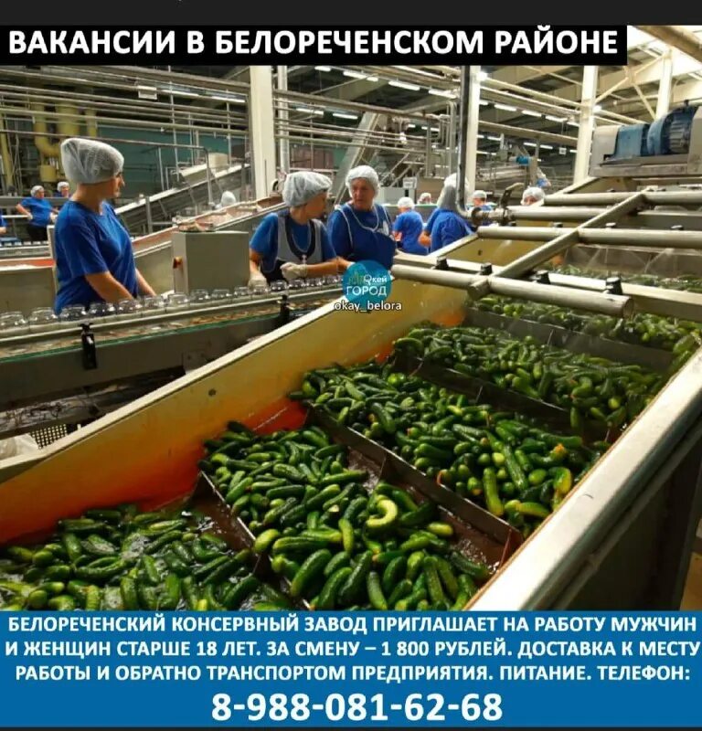 Реклама обойного магазина. Такси г белореченске. Работа в белореченске свежие вакансии от прямых. Работа в белореченске свежие вакансии от прямых. Работа в белореченске свежие вакансии от прямых.