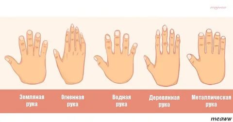 Формы рук у женщин