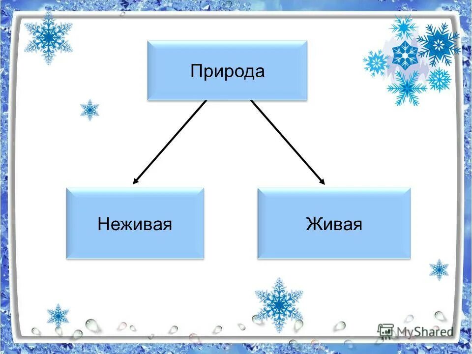 изменения в природе зимой. зимние изменения в живой и неживой природе. зимние явления в неживой природе. зимние природные явления. зима в неживой природе.