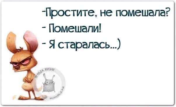 Извини что помешала. Не помешала помешали я старалась. Простите не помешала. Помешала. Я старалась. Картинка я старалась. Помешать помешать.