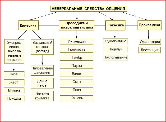 Основные средства невербального общения