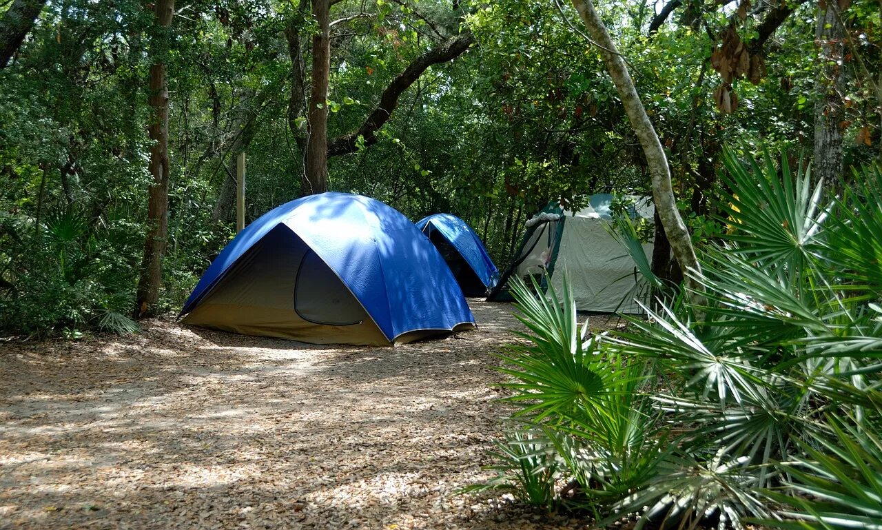 Палаточный лагерь. Палатки для кемпинга. Палатка в джунглях. Палаточный лагерь для детей. Кемпинг размещение