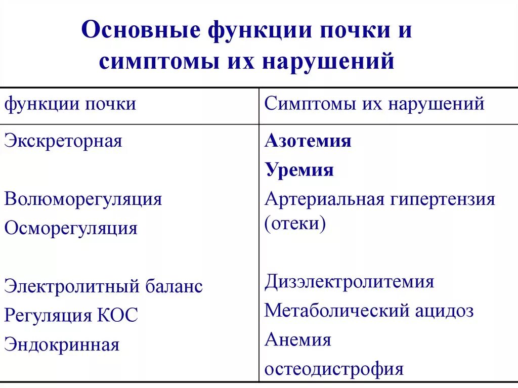 Каковы основные нарушения работы почек