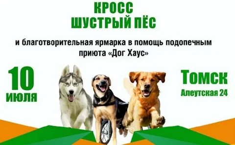 Приют дога