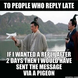 Reply to me