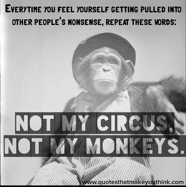 Feel yourself варианты перевода. Перевод not my circus not my monkeys. Not my circus not my monkeys значение. Not my circus not my monkeys. My circus перевод.