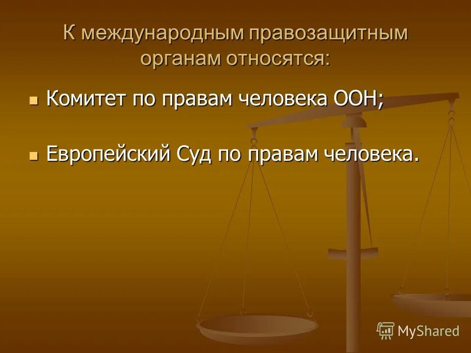 Органы правозащитной деятельности