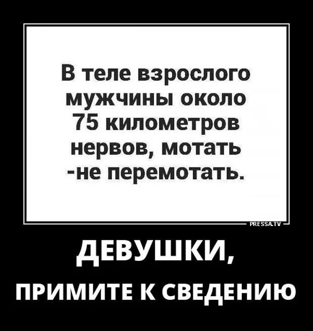 Футболка с надписью мотаю нервы. Уходи хватит мне нервы мотать. Мотаю нервы сколько. Футболка с надписью мотаю нервы. Мотать нервы.