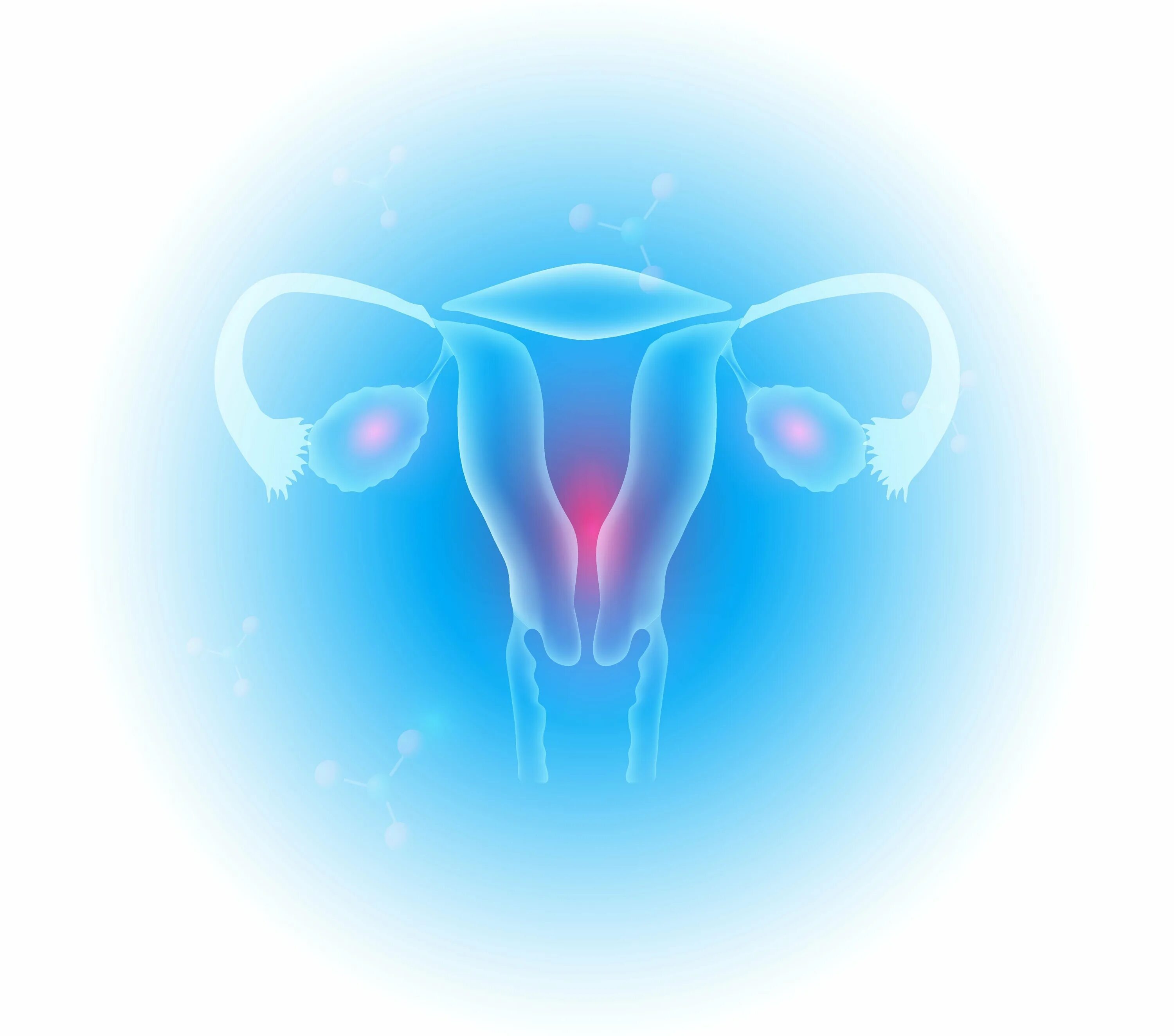 Матка фон. Фон для презентации гинекология. Матка фон. Фон для презентации медицина. Гинекология фон.