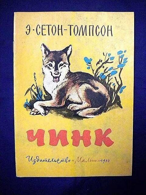 Чинк читать. Сетон-Томпсон книги Чинк. Иллюстрация к рассказу Чинк э.Сетон-Томпсон. Э Сетон Томпсон Чинк рисунок.