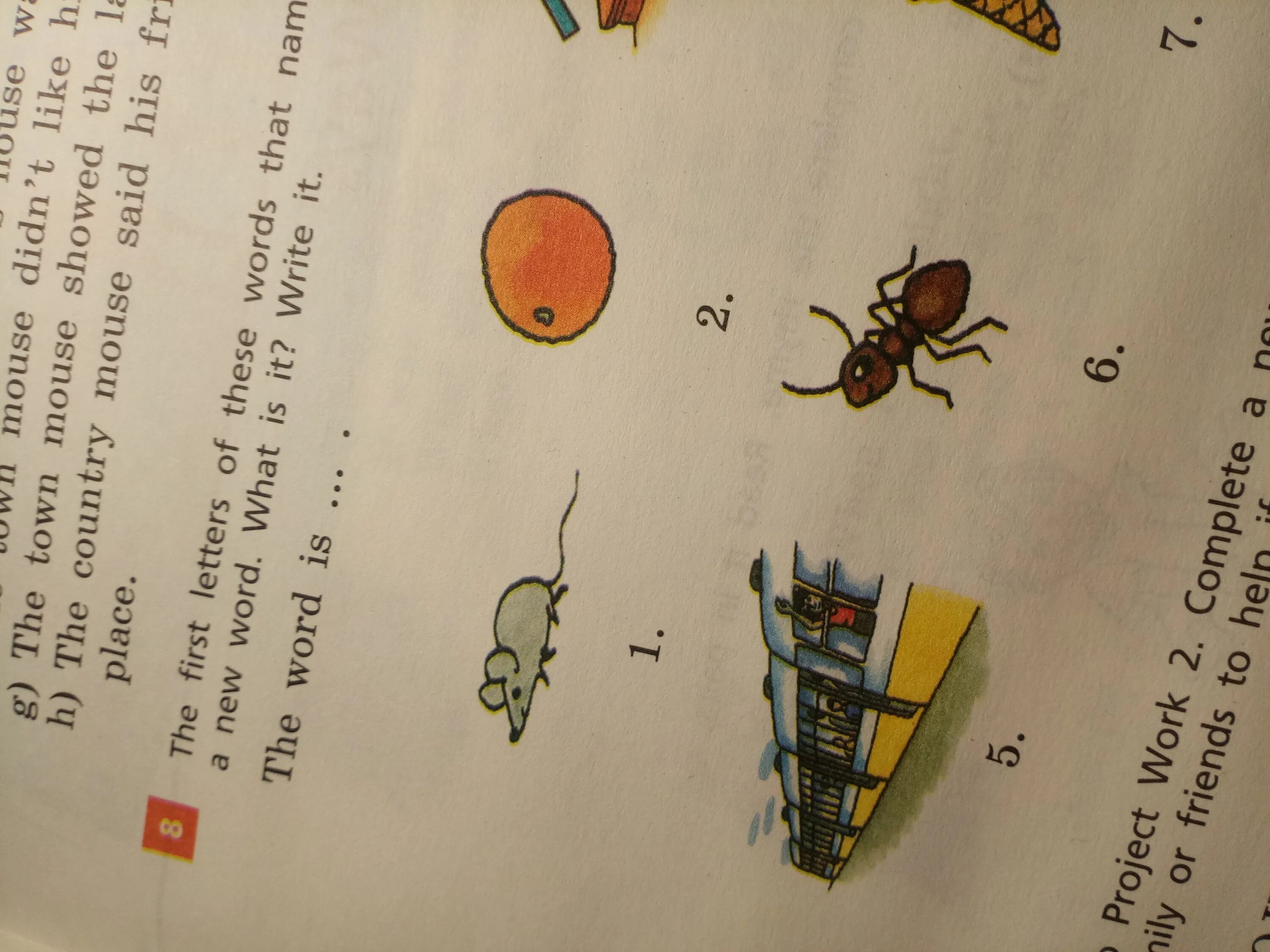 Write the names of the things. The first letters of these words naming the things in the pictures make up a new word apple номер 30 5 класс. the first letters of these words make a new. name things. the first letters of the words naming the things in the pictures make up a new word.