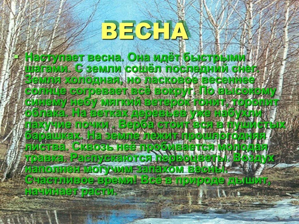 Текст зарисовка на тему мелодии весеннего леса. Ласковое Весеннее солнце согревает все вокруг. Последний снег текст.