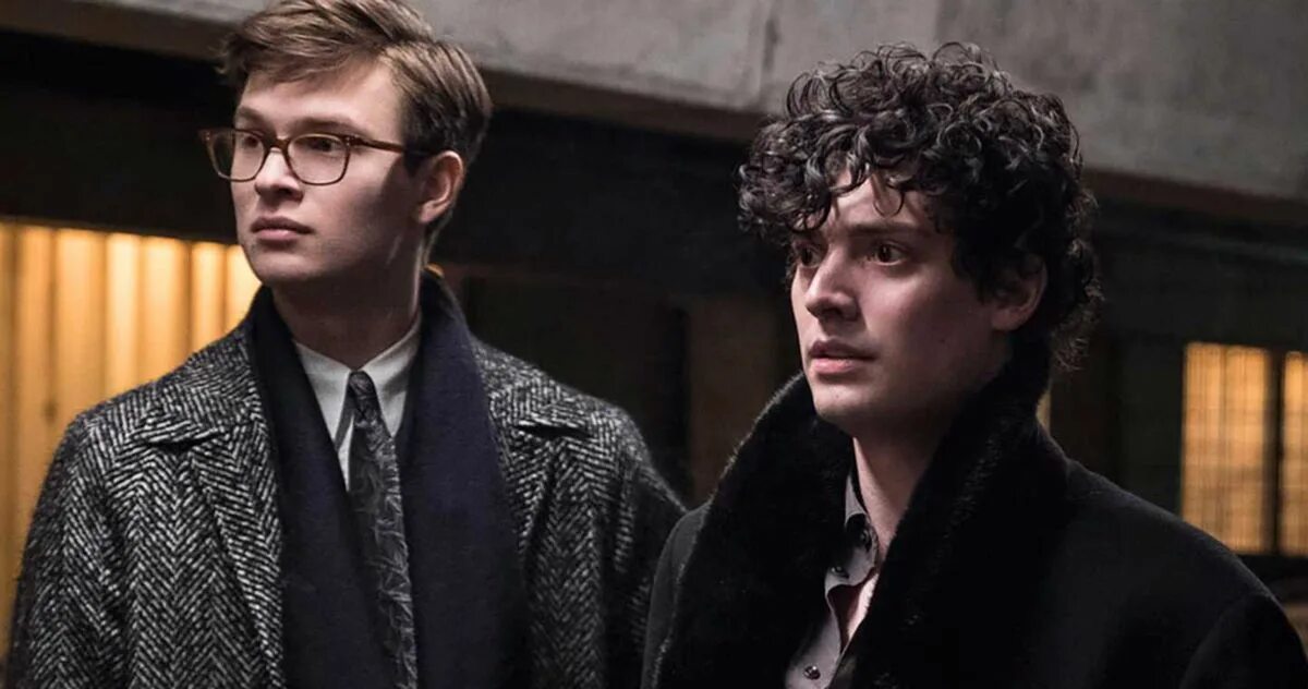 Щегол финн вулфорд. Щегол / the goldfinch (2019). анайрин барнард щегол. щегол 2019 борис. финн вулфхард щегол.