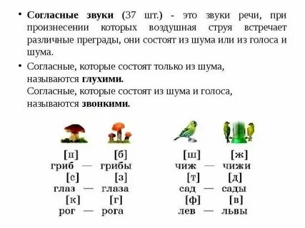 Согласные которые состоят из шума называются
