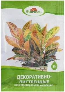 Грунт для декоративно лиственных бегоний