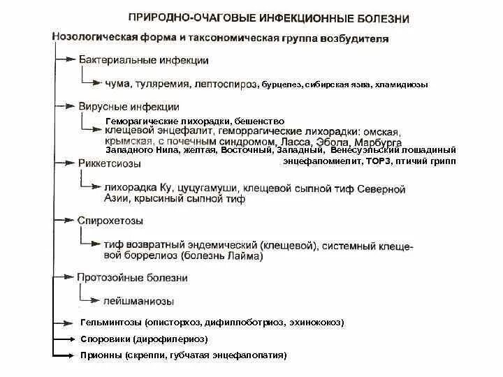 Трансмиссивные очаговые заболевания. Классификация природно-очаговых заболеваний. Природно-очаговые заболевания это. Природно-очаговых заболеваний Сибири. Природно-очаговые заболевания примеры.