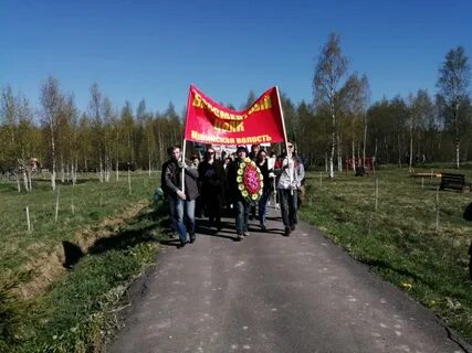 Погода в мшинская на неделю