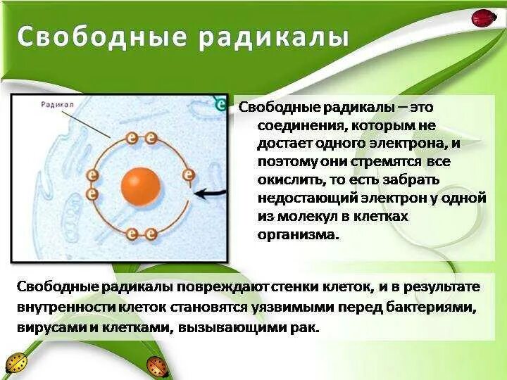 Антиоксиданты это. Антиоксиданты в продуктах. Антиоксиданты препараты. Антиоксиданты. Антиоксиданты.