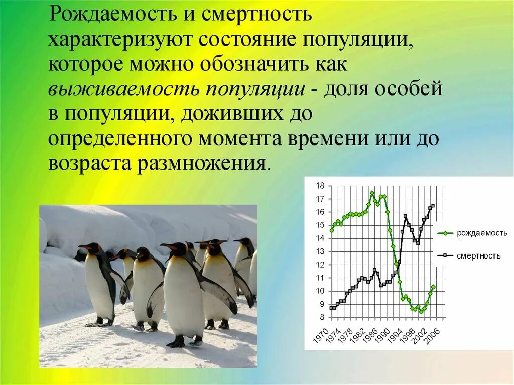 Определите количество особей видов