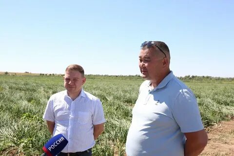 Кфх астрахани