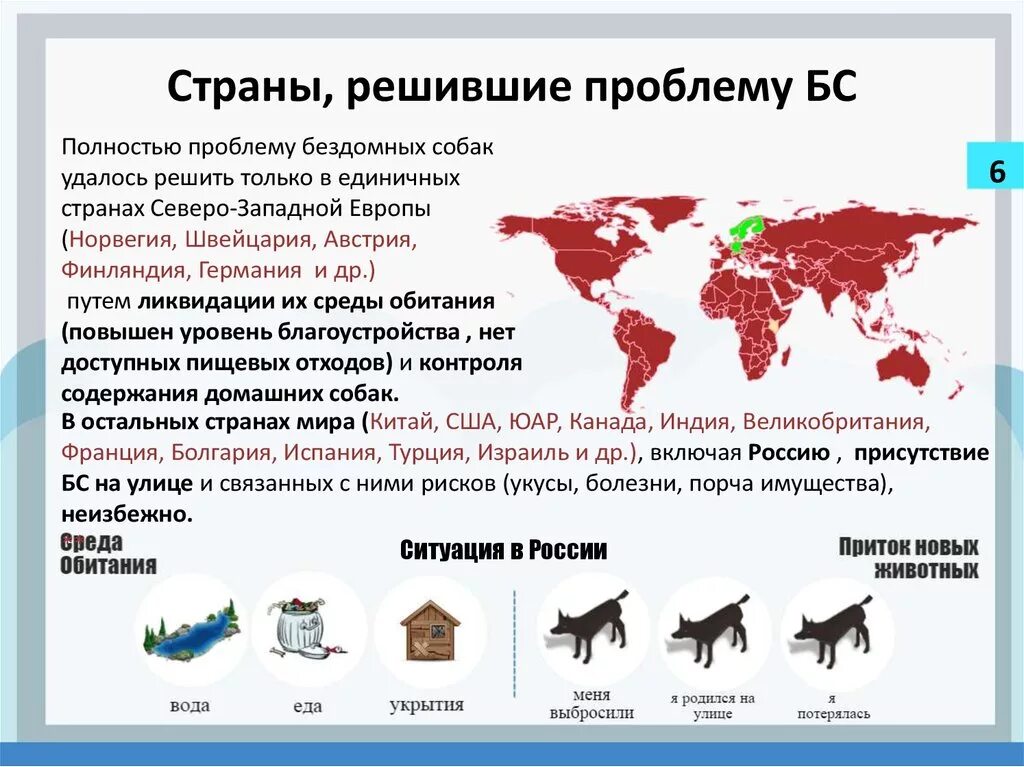 Статистика по бездомным животным в России. Количество бездомных собак в России. Сколько бродячих собак в России. Статистика по домашним животным в России. Статистика нападений людей на людей