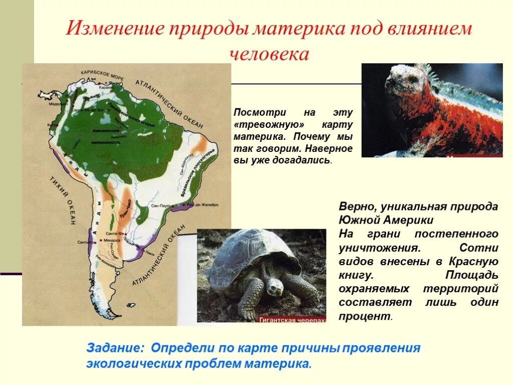 Влияние деятельности человека на природу северной америки. Природные зоны Южной Америки презентация. Изменение человеком природы материков. Природные зоны материка Южная Америка. Изменение природы человеком в Южной Америке.