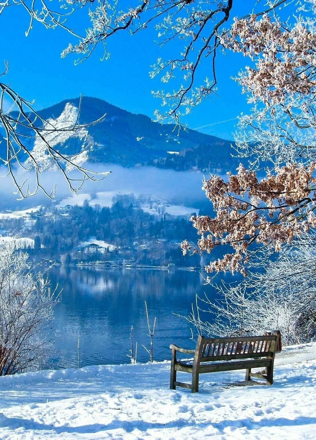 Доброго дня природа зима. Зимняя природа. красивая зима. зима пейзаж. прекрасные зимние пейзажи.